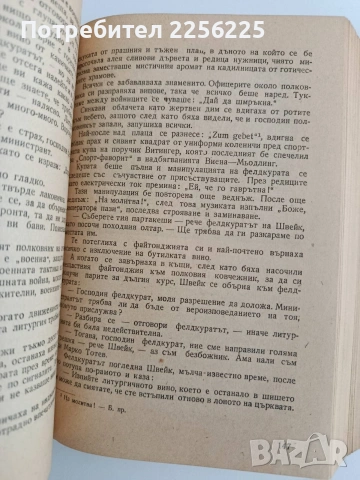 Приключенията на добрия войник Швейк, снимка 2 - Художествена литература - 54562973