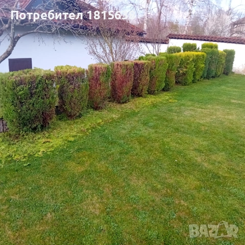 Предлагам косене