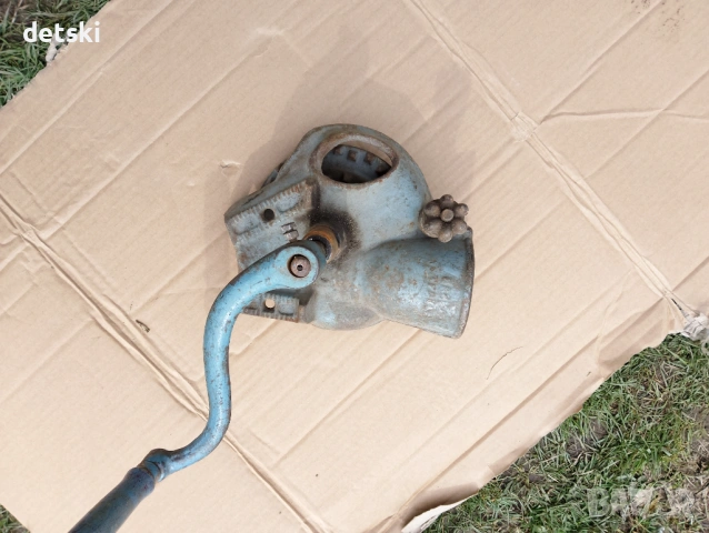 Роначка,зърнороначка