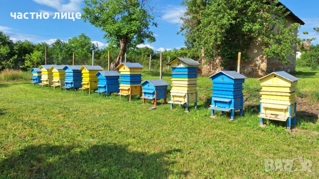 Продваам 12 рамкови кошери , снимка 6 - За пчели - 54725324