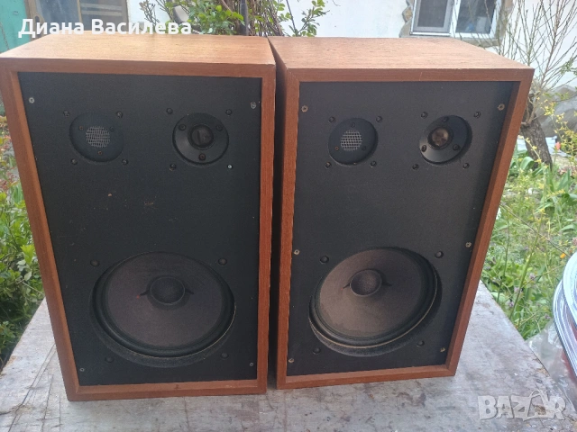 Vintage Тонколони Isophon 12" AlNiCo – За DIY проекти / Студийни монитори, снимка 2 - Тонколони - 54163016