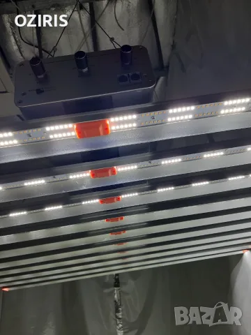 GREEN SENSATION 1000W led grow light, снимка 4 - Лед осветление - 55545107