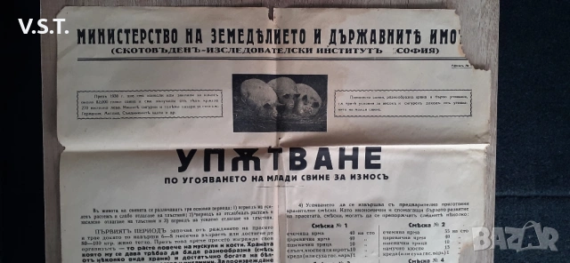  Царство България 1939 г. Рядък Антикварен Плакат, снимка 2 - Други ценни предмети - 54570425