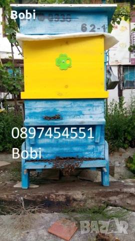 Малки Пчелни Семейства Отводки, снимка 13 - За пчели - 54058330