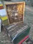 Кошери-ДБ10ки, нови, за добив на прашец и клей, и подвижно пчеларство., снимка 17