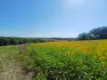 Продава се имот идеален за енергийно независим проект (Off - Grid )., снимка 4