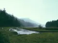 Гривна от телец с камък турмалин естествен 2Y7O, снимка 3