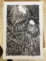 Графики суха игла, снимка 4