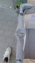 детска кошара. подходяща за малки кучета. , снимка 6