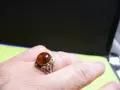 Оригинален руски пръстен с кехлибар, снимка 1