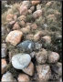 Подарявам камъни за строителна дейност , снимка 3