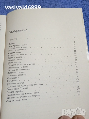 Ради Царев - Дивите ми приятели , снимка 5 - Българска литература - 54258010