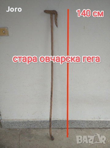 стара овчарска гега