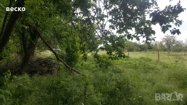 Продавам къща в село червенци, снимка 16 - Къщи - 55168150