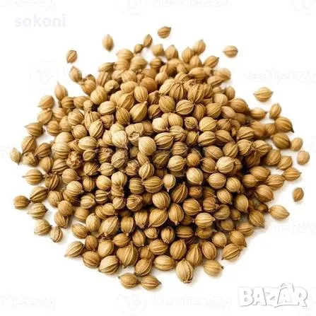 Coriander Whole / Цял Кориандър 100гр