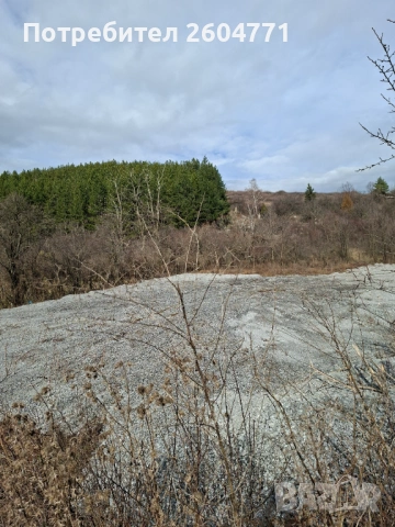 Давам под наем място Кв изток, снимка 5 - Парцели - 53973413