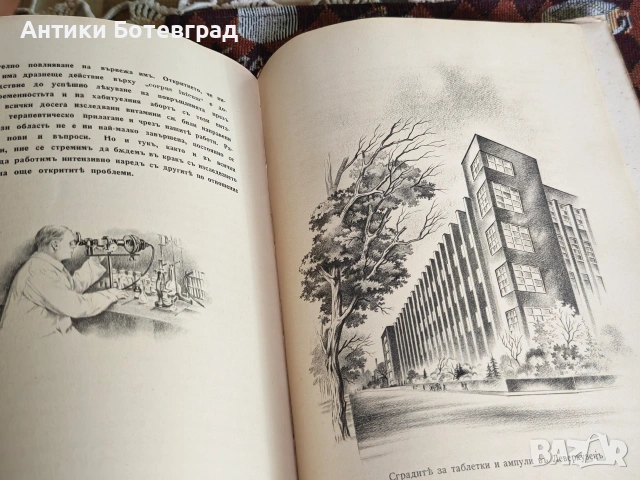 Стара антикварна книга 50 години лекарства Bayer, снимка 9 - Антикварни и старинни предмети - 55165097