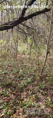 УПИ с. ДОЛНИ РОМАНЦИ , снимка 2 - Парцели - 54500525