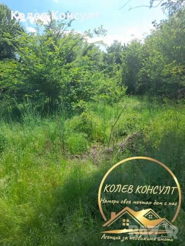 🥇 Агенция “Колев Консулт” продава двуетажна къща в село Николово област Хасково , снимка 6 - Къщи - 53982782