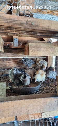 Продавам пилета 