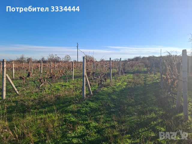 Продавам имот в местност Комсала, с. Марково, гр. Пловдив, снимка 3 - Земеделска земя - 54430317