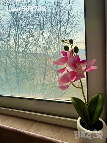 Прекрасен Тристаен срещу The Mall, снимка 5 - Апартаменти - 54221245