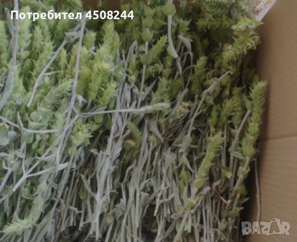 Мурсалски чай, снимка 3 - Други - 54807958