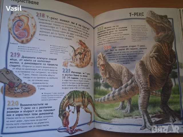 3 броя книги за динозаври, снимка 10 - Специализирана литература - 54902507