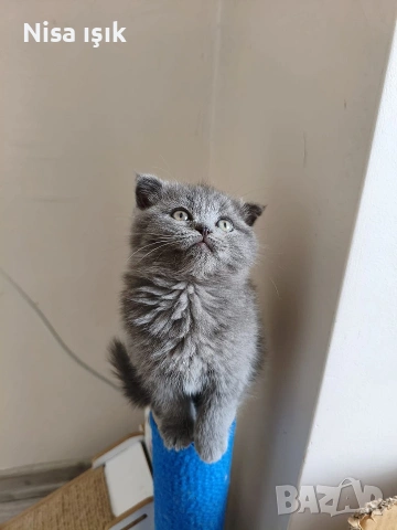 не е красива тя е уникална в Хасково
