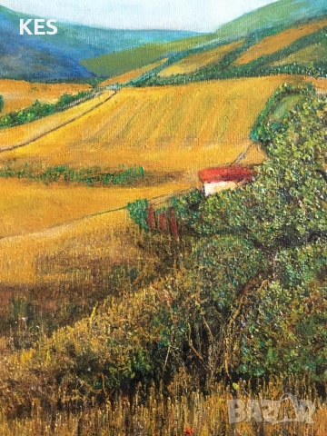 Гледка към Витоша, снимка 3 - Картини - 54836300