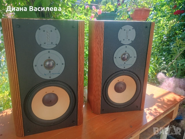 Infinity RS-5B (Reference Standard 5B)