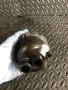 Корпус на маслен филтър за Audi A8 4.2 TDI (2007-2010) 78558686, снимка 2