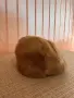 Луксозна дамска шапка от естествен косъм , снимка 1