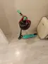 Детска електрическа тротинетка Ninebot KickScooter (Zing E8) + Зарядно, снимка 1