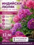 Индийски люляк - ароматен, снимка 1
