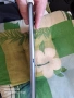 Samsung Tab10 Отличен Таблет, снимка 5
