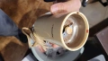 Кафемелачка стара работеща, добре работи, мели ситно. , снимка 5