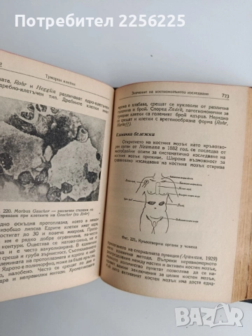 Клинични лабораторни изследвания и тяхното практично значение 1948г, снимка 5 - Специализирана литература - 54957980