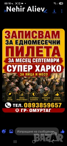 Записвам за едномесечни пилета, снимка 2 - Други животни - 55364324