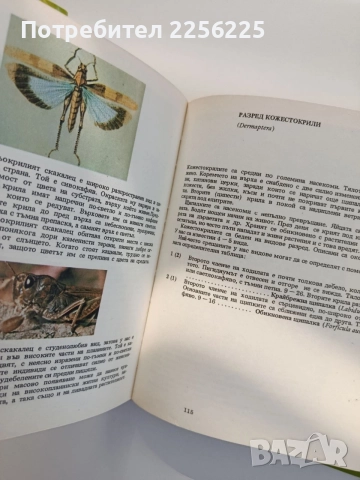 Атлас по зоология ( безгръбначни животни), снимка 2 - Специализирана литература - 55178721