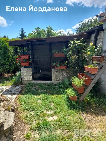 Продава къща, с.Каменар, община гр.Варна, снимка 17 - Къщи - 55250903