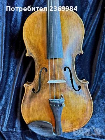 Цала цигулка Pietrus Ambrosi