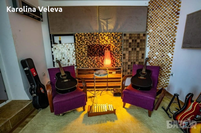 Вила в с.Буховци, снимка 5 - Къщи - 54330585