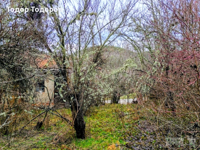 Парцел в с. Дивля, област Перник