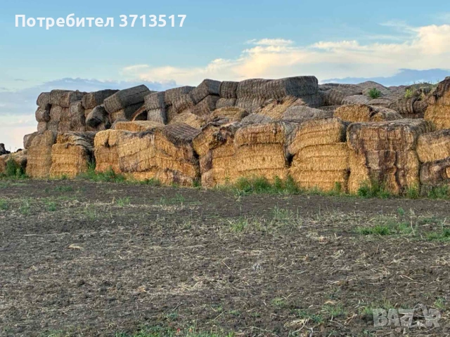 Бали слама Макси 500-600кг -15 евро, снимка 2 - За селскостопански - 54890392