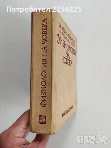 Физиология на човека, снимка 14 - Специализирана литература - 53949982