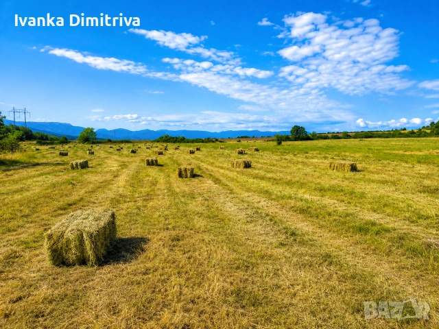 Сено,Слама обл.Монтана