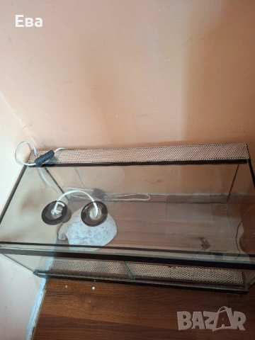 Терариум, снимка 2 - Терариуми и оборудване - 54067472