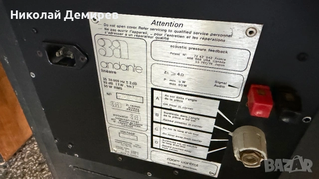 3А andanie lineaire 10 инча баси, снимка 5 - Тонколони - 54440128