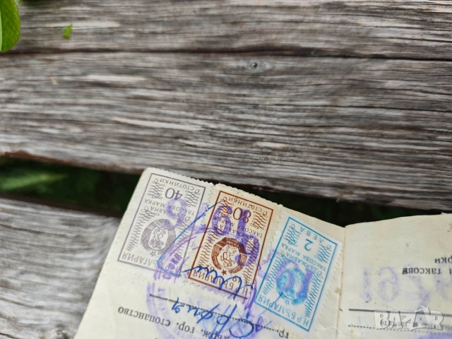 Стари карти СЛРБ и БЛРС + разрешително рибар, снимка 14 - Колекции - 48610869